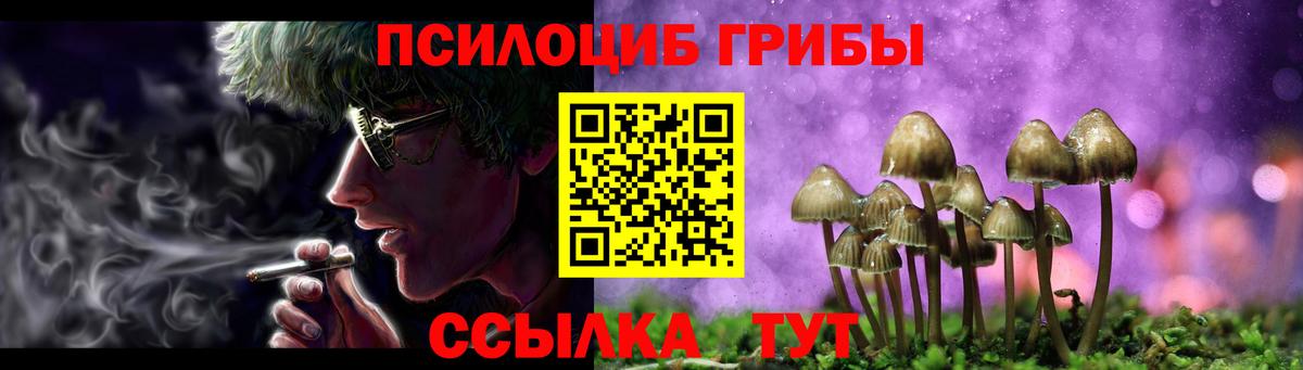 Псилоцибиновые грибы Psilocybine cubensis Кимовск